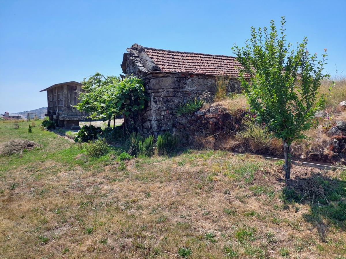 Villa Casa Do Sobrado Arouca Esterno foto
